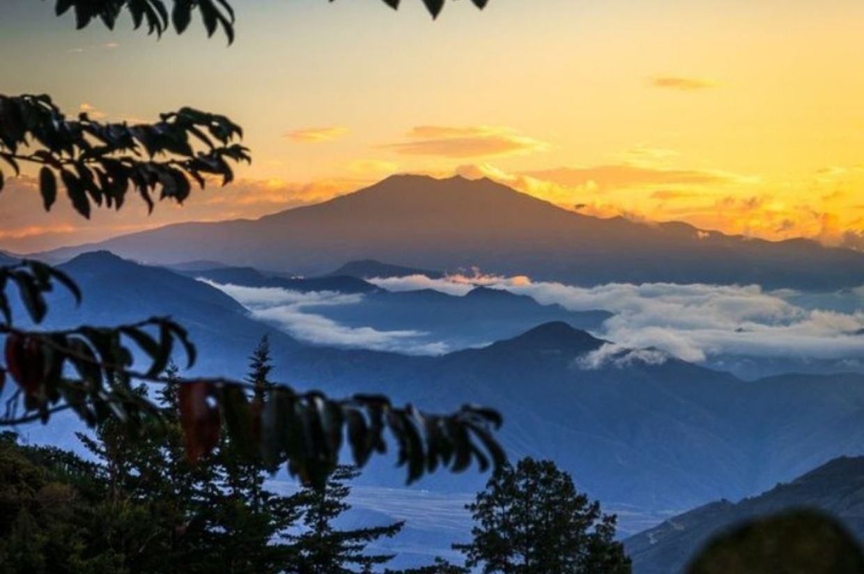 Pasto - Imagen 5