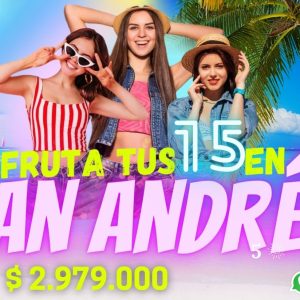 Mis 15